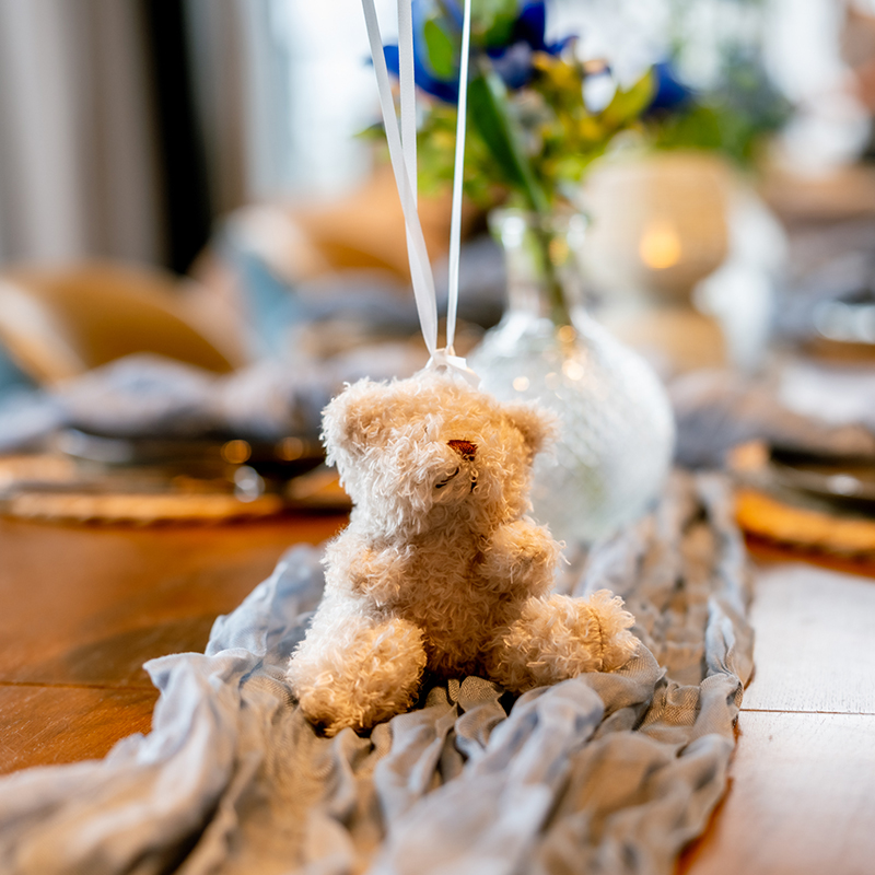 Babyshower Hoorn | Vieren aan het Markermeer